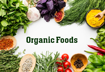 Harmonize your Body, Mind, & Soul with Delicious Organic Delights by Organic Startups